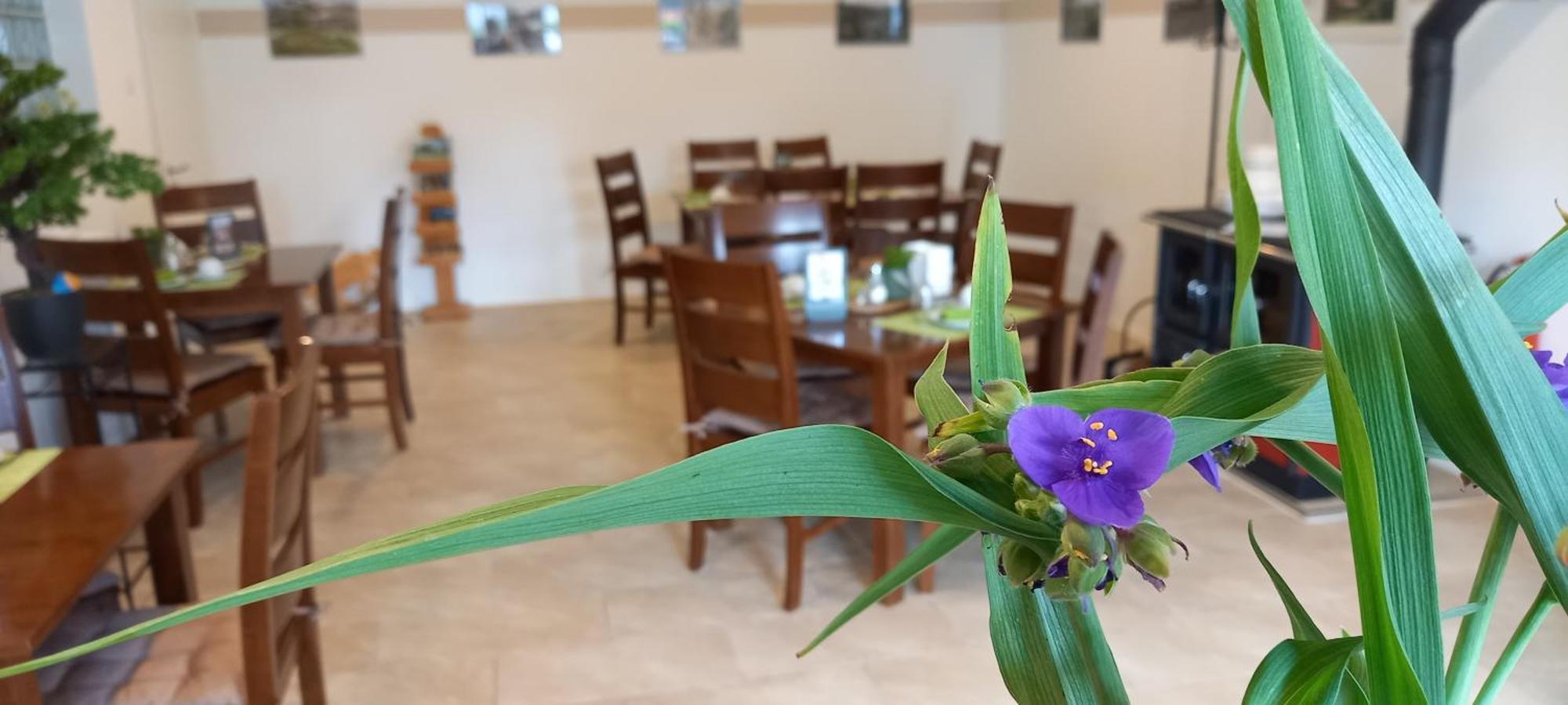 Gaestehaus Wohngut אייזנבאך מראה חיצוני תמונה